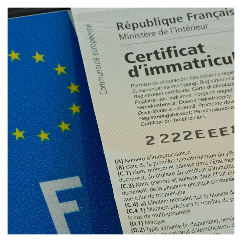 Vehicle Registration document (Carte grise)